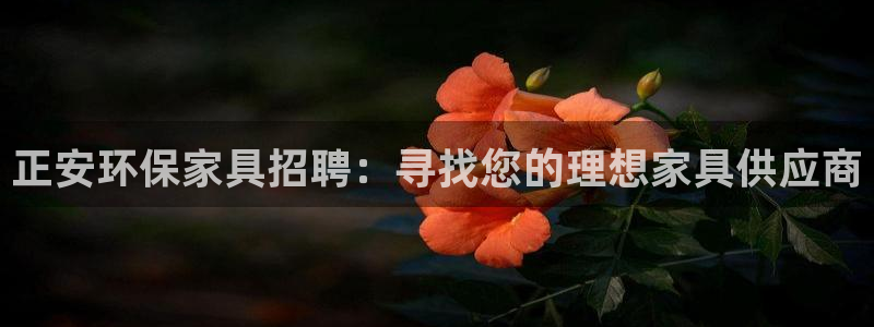 杏宇平台官方网站下载