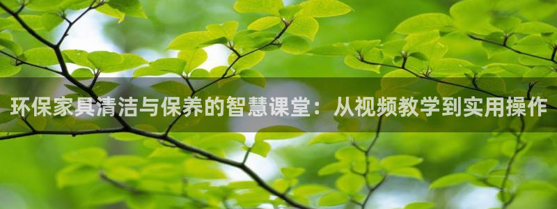 杏宇网址官网