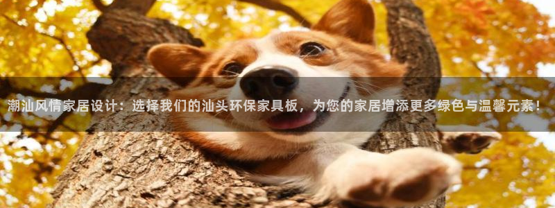 杏宇平台可以提款吗