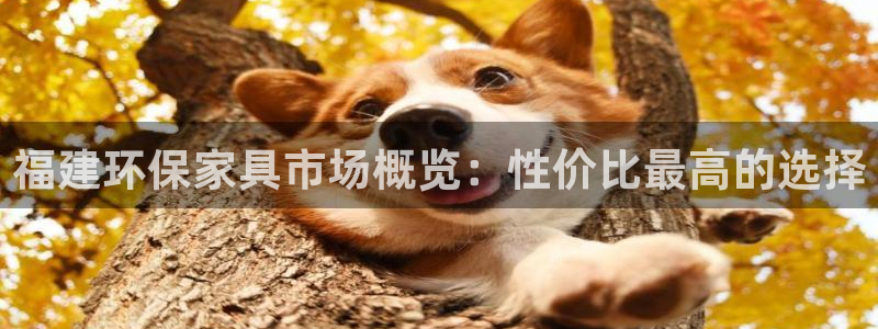 杏宇登陆测速