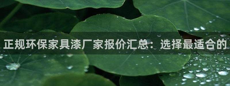 杏宇总代理