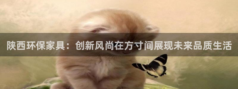 杏宇app怎样申请退款