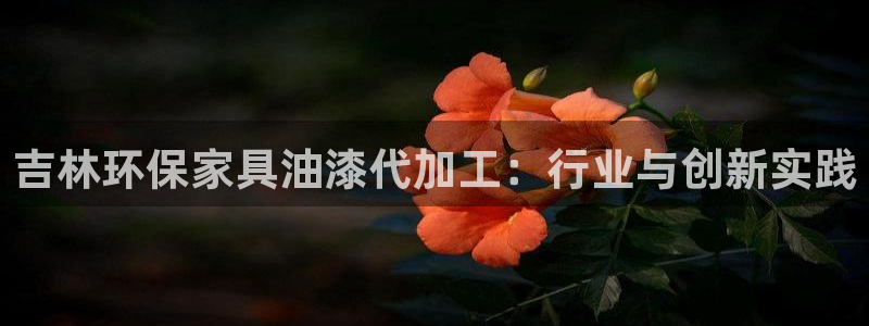 杏宇平台官网下载