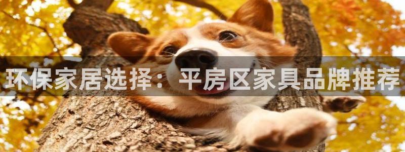 杏宇平台登陆测速