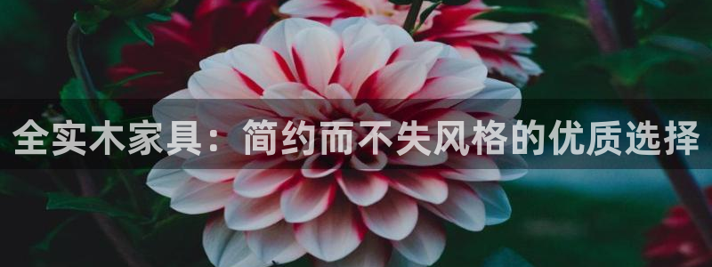 杏宇平台可以提款吗：全实木家具：简约而不失风格的优质选择