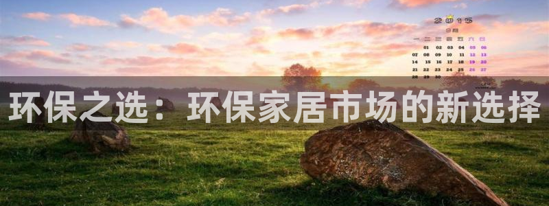 杏宇平台网站是什么