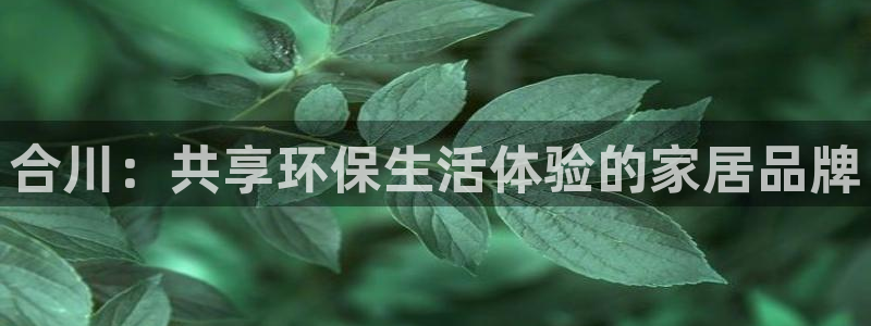 杏宇平台正规么：合川：共享环保生活体验的家居品牌
