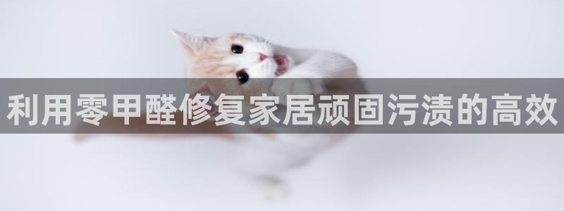 杏宇登陆测速：利用零甲醛修复家居顽固污渍的高效