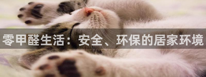 杏宇平台到底能玩吗