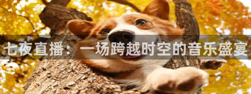 熊猫app直播：七夜直播：一场跨越时空的音乐盛宴