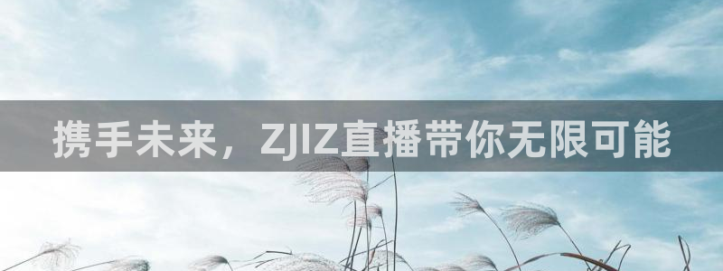 熊猫频道：携手未来，ZJIZ直播带你无限可能