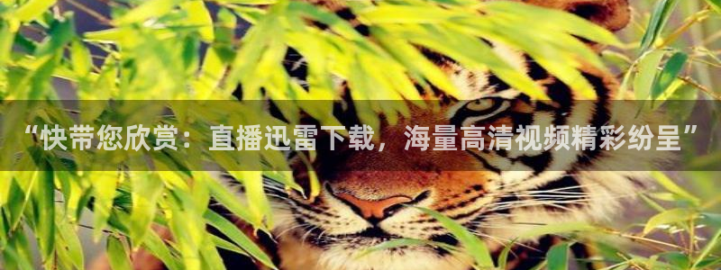 熊猫体育直播app下载：“快带您欣赏：直播迅雷下载，海量高清视频精彩纷呈”