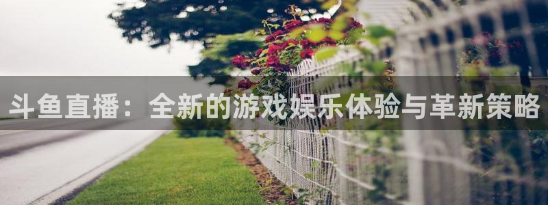熊猫游戏直播：斗鱼直播：全新的游戏娱乐体验与革新策略