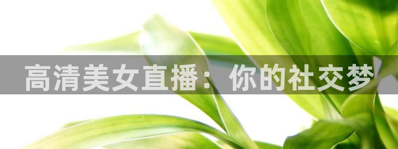 熊猫体育直播app下载：高清美女直播：你的社交梦