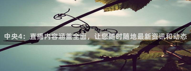 下载熊猫直播：中央4：直播内容涵盖全面，让您随时随地最新资讯和动态