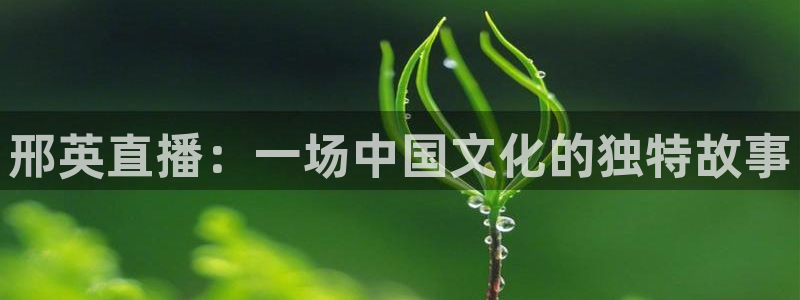 熊猫直播间：邢英直播：一场中国文化的独特故事