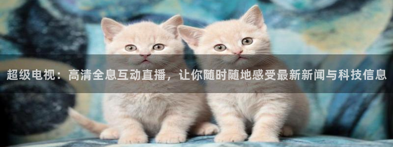 熊猫怎样直播：超级电视：高清全息互动直播，让你随时随地感受最新新闻与科技信息