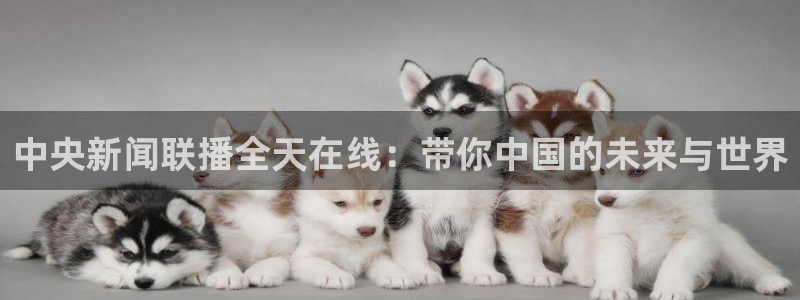熊猫体育直播下载：中央新闻联播全天在线：带你中国的未来与世界